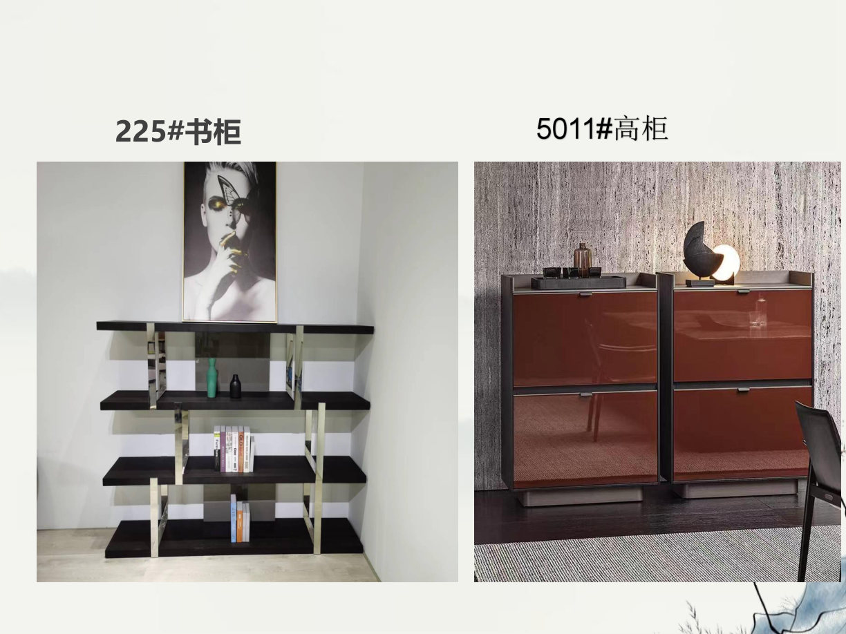 【设计师款柜类】225#书柜